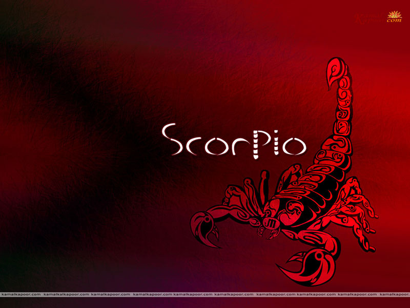 Scorpio Hd Wallpapers Kelley Rosano